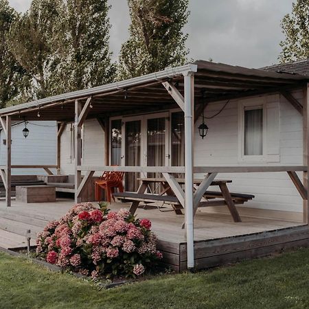 Chalet Tulpenweide - Recreatie Breezand Exteriör bild