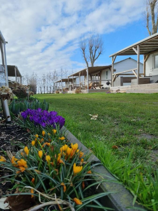 Chalet Tulpenweide - Recreatie Breezand Exteriör bild