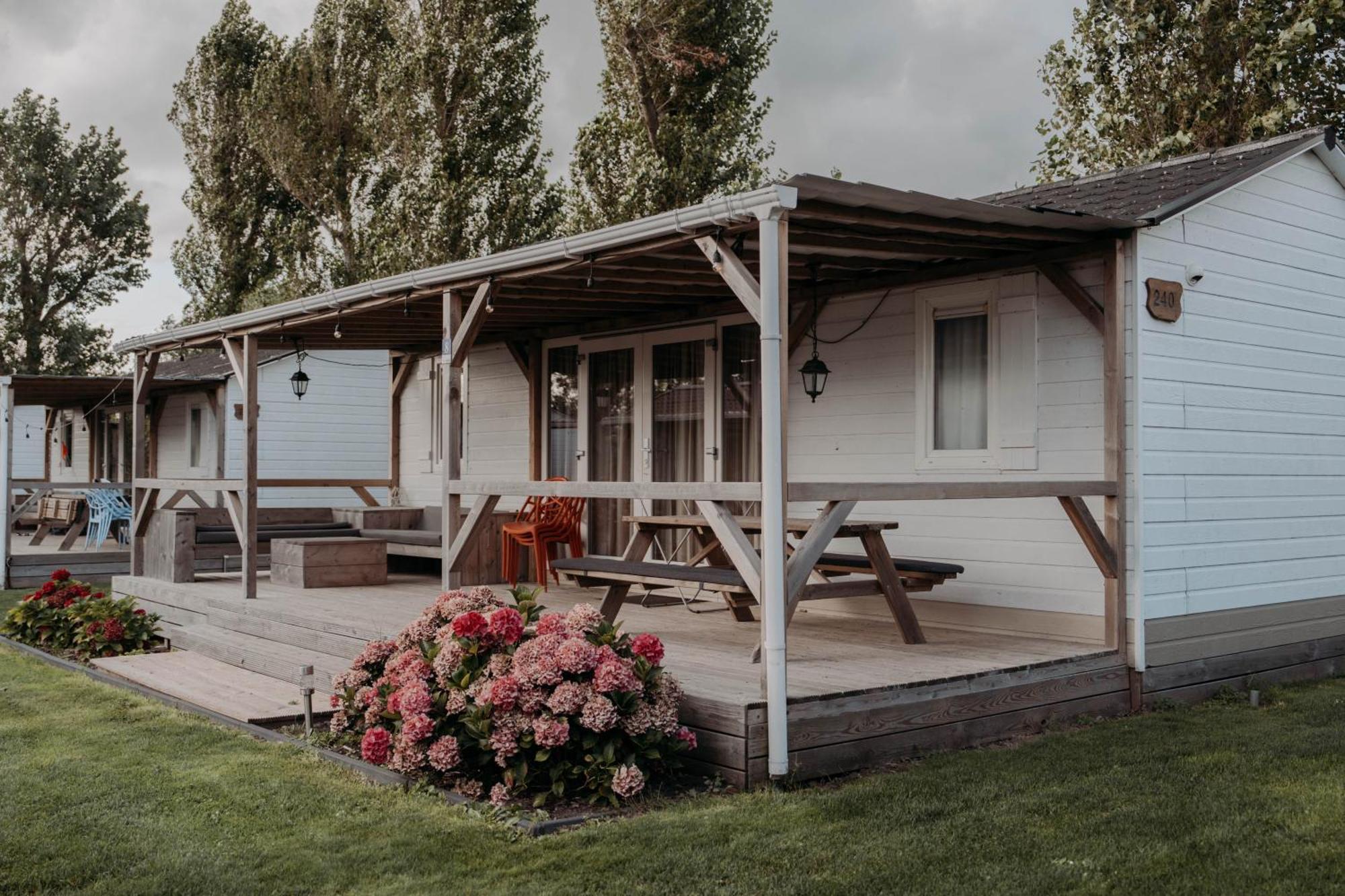 Chalet Tulpenweide - Recreatie Breezand Exteriör bild