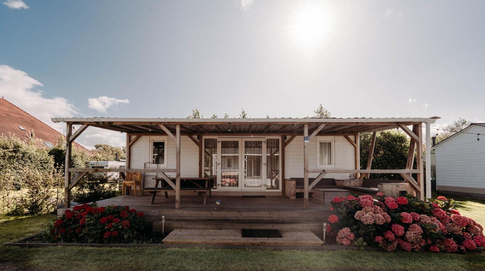 Chalet Tulpenweide - Recreatie Breezand Exteriör bild